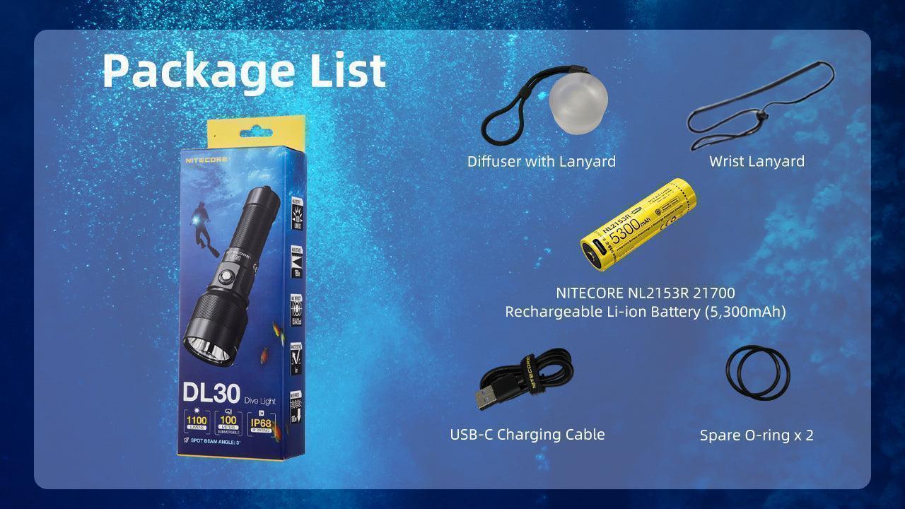 DL30 - 1100 lumens (100m Depth Diving Light) - Image 20